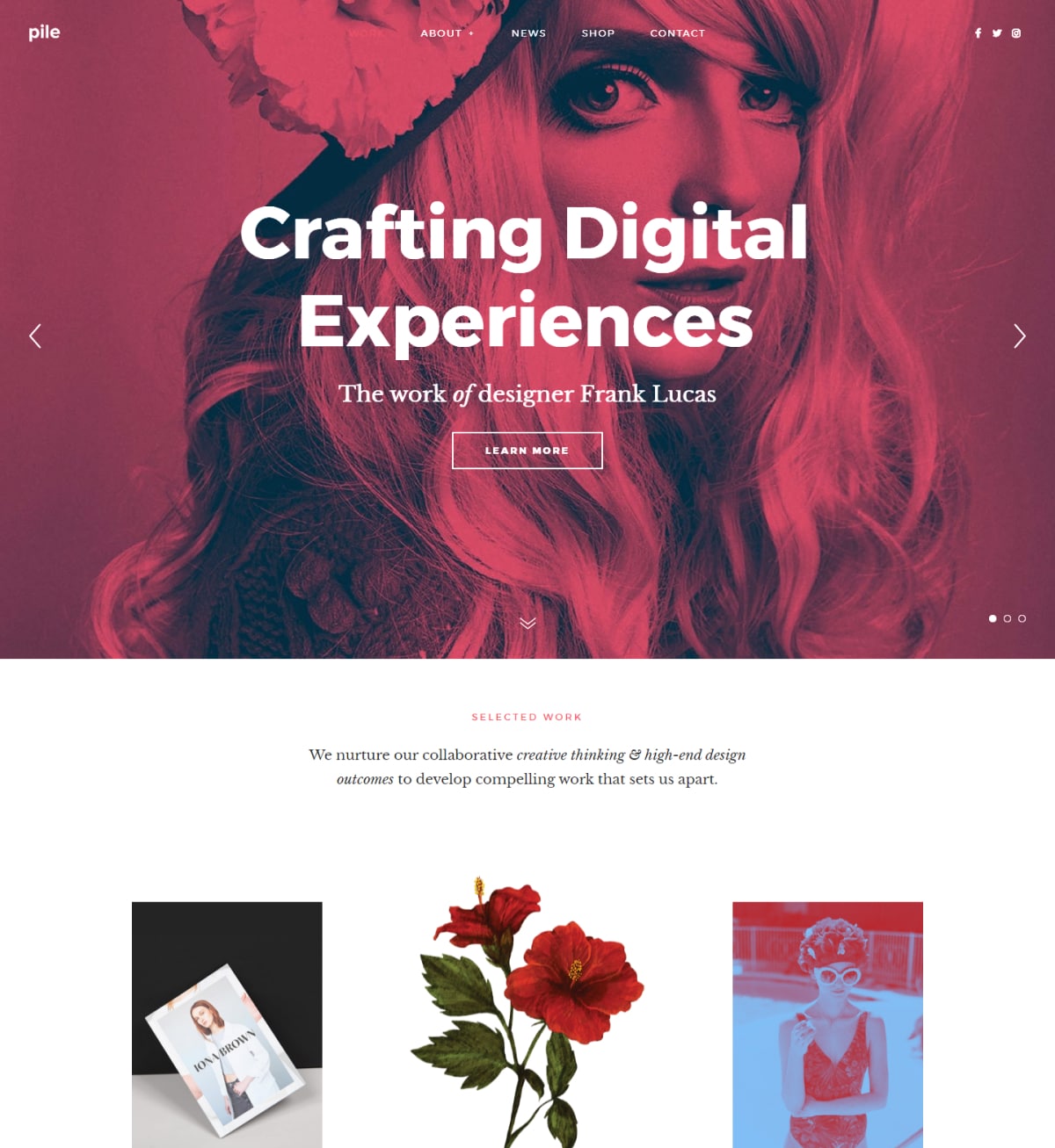 Pile A flexible portfolio WordPress theme Desktop View