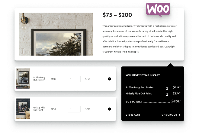 WooCommerce integration with Timber to create an online store with ease
