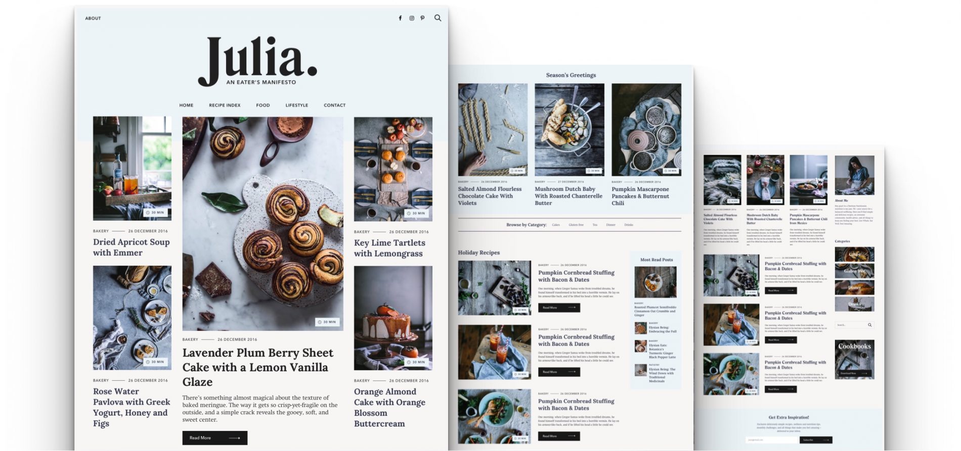 Julia food blogging Wordpress theme with widget home page