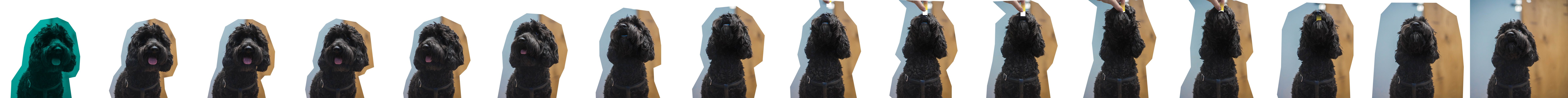 about‐arlo about-arlo
